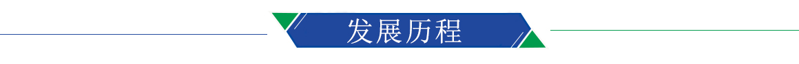 發展歷程